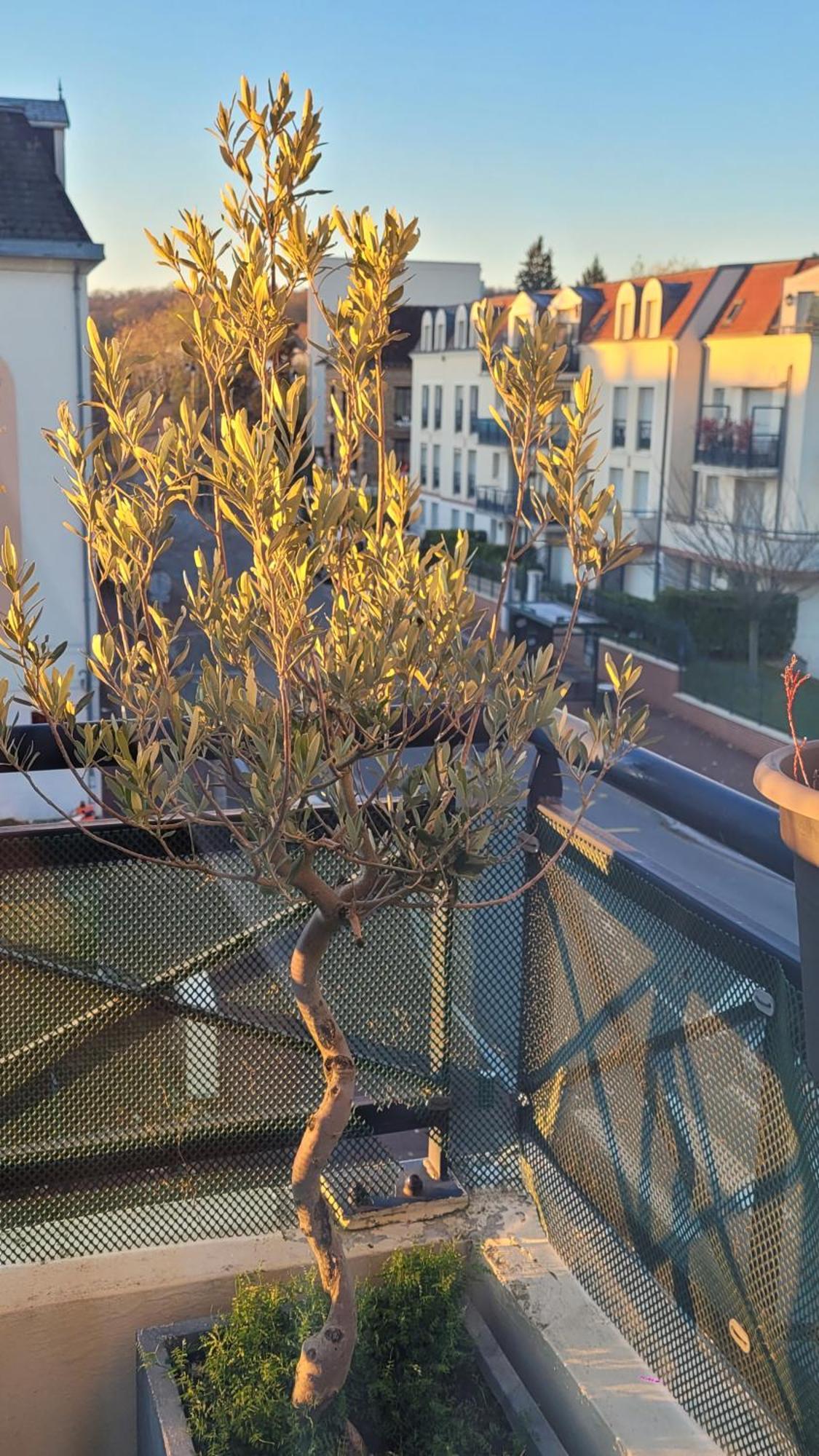Les Clayes-Sous-Bois Duplex Art Place, Olympics 2024 מראה חיצוני תמונה